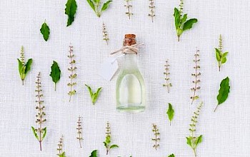 The Best Oils to Be Used in Aromatherapy