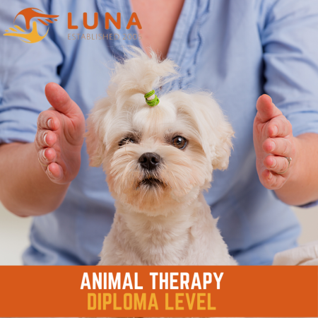 Animal Holistic Therapy Course