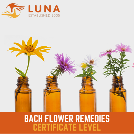 Beginners Bach Flower Course