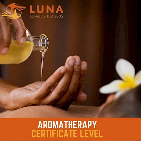 Beginners Aromatherapy Course