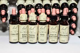 6 bach remedies