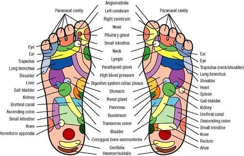 reflexology diagram