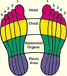<?= reflexology foot diagram ?>